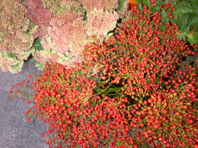 _rosehip berries & sedum
