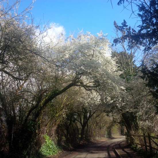 send flowers in London