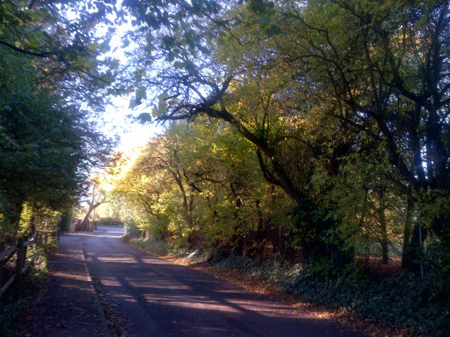 Windsor and Maidenhead-20121111-01272