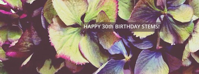 cropped-Happy-Birthday_Stems-florist-wc1.jpg