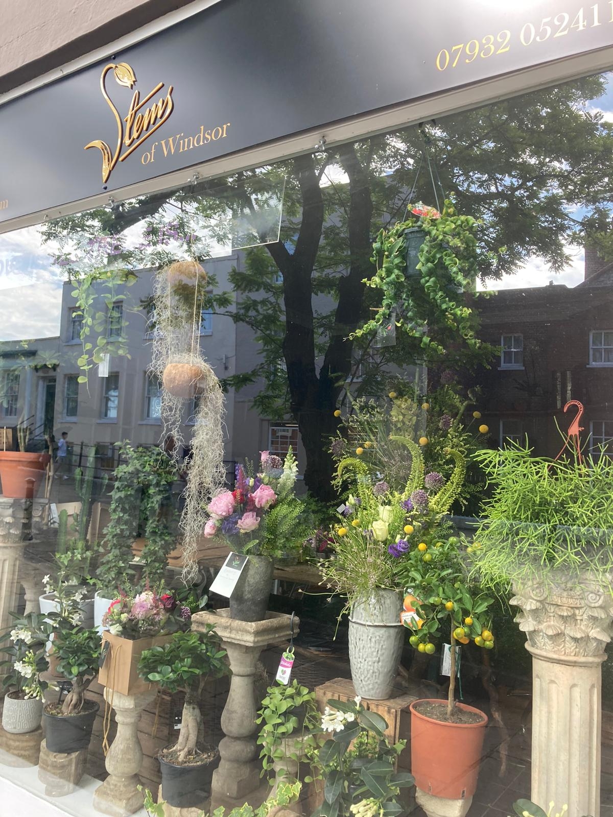 Florist Windsor, Stems of Windsor Blog